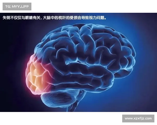 失明者如何通过感官觉醒与内心探索发现并释放自身独特的创造力 失明者如何通过感官觉醒与内心探索发现并释放自身独特的创造力
