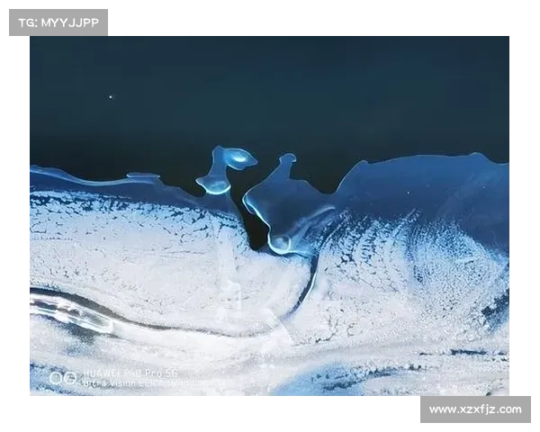 冰雪初生冰虎宝宝探秘极地奇观踏上神秘寒冷之旅 冰雪初生冰虎宝宝探秘极地奇观踏上神秘寒冷之旅