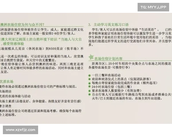 全面掌握澳洲杯赛事入门技巧的新手友好实战进阶指南全面提要 全面掌握澳洲杯赛事入门技巧的新手友好实战进阶指南全面提要